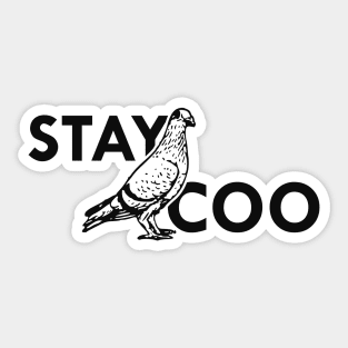 Pigeon - Stay Coo Sticker